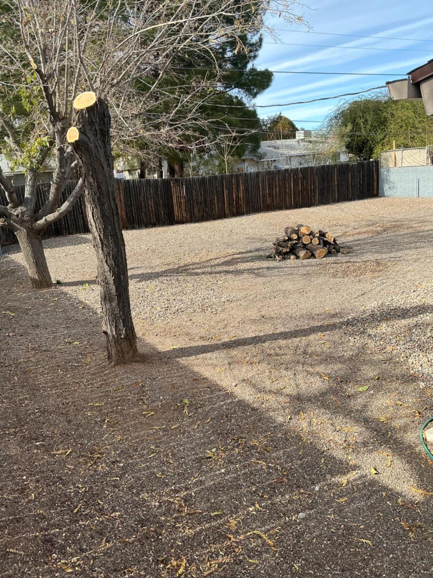 コットンウッド Arizona Cactusヴィラ エクステリア 写真